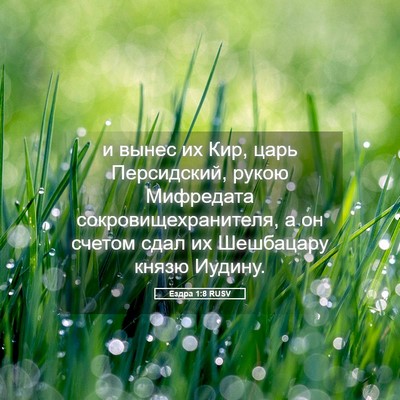Picture 05 - Ездра 1:8 RUSV - и вынес их Кир, царь - Bible Verse Picture