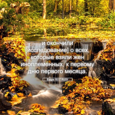 Picture 05 - Ездра 10:17 RUSV - и окончили [исследование] о - Bible Verse Picture