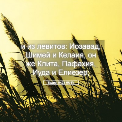 Picture 05 - Ездра 10:23 RUSV - и из левитов: Иозавад, - Bible Verse Picture