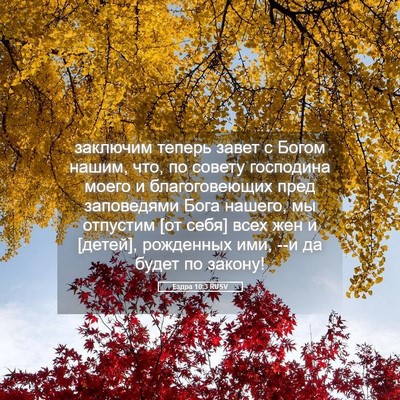 Picture 05 - Ездра 10:3 RUSV - заключим теперь завет с - Bible Verse Picture