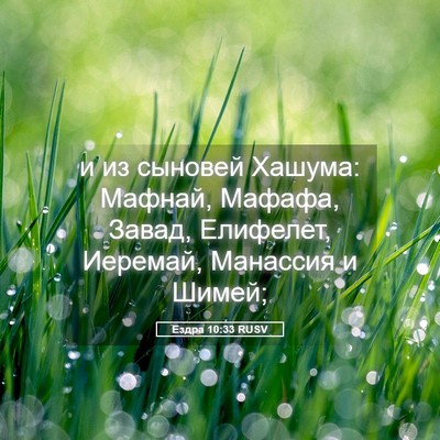 Picture 05 - Ездра 10:33 RUSV - и из сыновей Хашума: - Bible Verse Picture