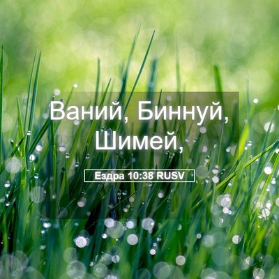 Picture 05 - Ездра 10:38 RUSV - Ваний, Биннуй, - Bible Verse Picture