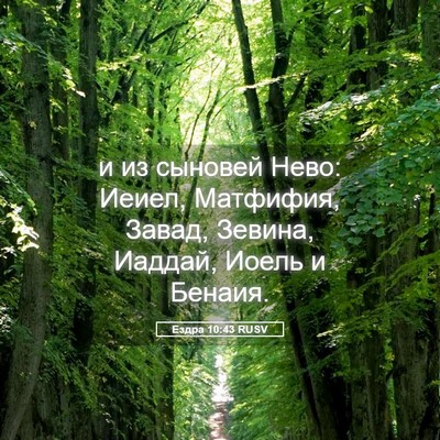 Picture 05 - Ездра 10:43 RUSV - и из сыновей Нево: Иеиел, - Bible Verse Picture