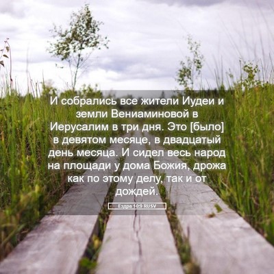Picture 05 - Ездра 10:9 RUSV - И собрались все жители - Bible Verse Picture
