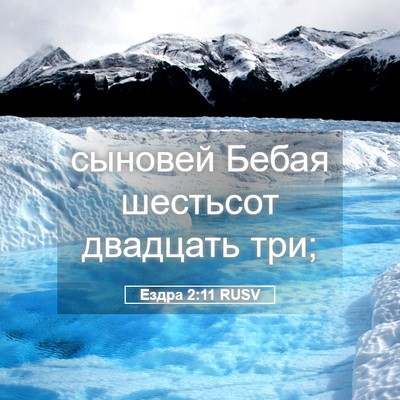 Picture 05 - Ездра 2:11 RUSV - сыновей Бебая шестьсот - Bible Verse Picture
