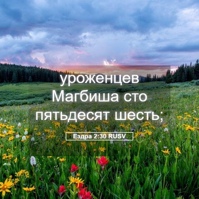 Picture 05 - Ездра 2:30 RUSV - уроженцев Магбиша сто - Bible Verse Picture