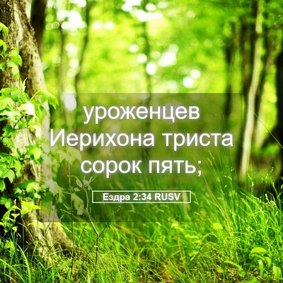 Picture 05 - Ездра 2:34 RUSV - уроженцев Иерихона триста - Bible Verse Picture