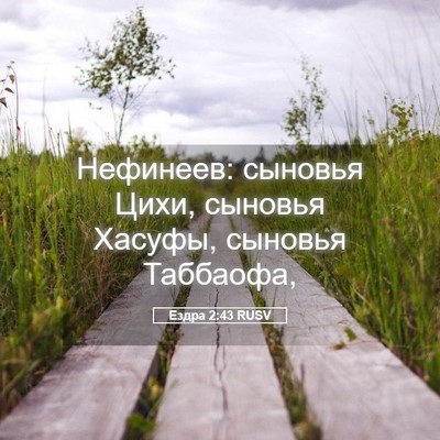Picture 05 - Ездра 2:43 RUSV - Нефинеев: сыновья Цихи, - Bible Verse Picture
