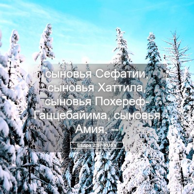 Picture 05 - Ездра 2:57 RUSV - сыновья Сефатии, сыновья - Bible Verse Picture