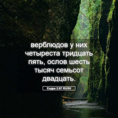 Picture 05 - Ездра 2:67 RUSV - верблюдов у них четыреста - Bible Verse Picture