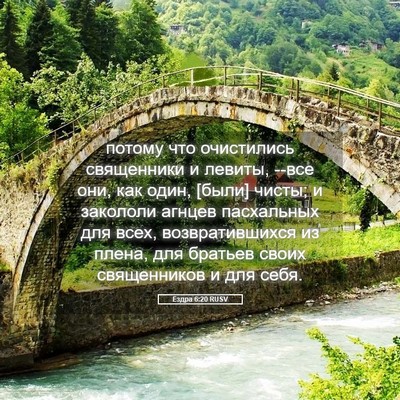 Picture 05 - Ездра 6:20 RUSV - потому что очистились - Bible Verse Picture