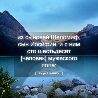 Picture 05 - Ездра 8:10 RUSV - из сыновей Шеломиф, сын - Bible Verse Picture