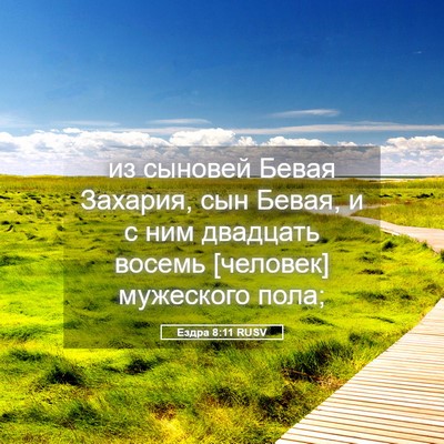 Picture 05 - Ездра 8:11 RUSV - из сыновей Бевая Захария, - Bible Verse Picture