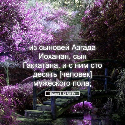 Picture 05 - Ездра 8:12 RUSV - из сыновей Азгада Иоханан, - Bible Verse Picture
