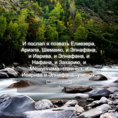 Picture 05 - Ездра 8:16 RUSV - И послал я позвать - Bible Verse Picture