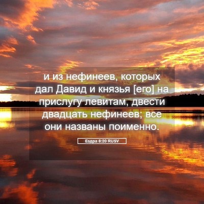 Picture 05 - Ездра 8:20 RUSV - и из нефинеев, которых дал - Bible Verse Picture