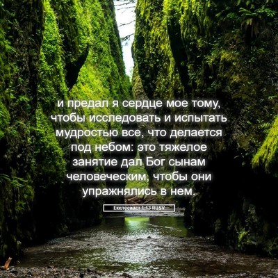 Picture 05 - Екклесиаст 1:13 RUSV - и предал я сердце мое тому, - Bible Verse Picture