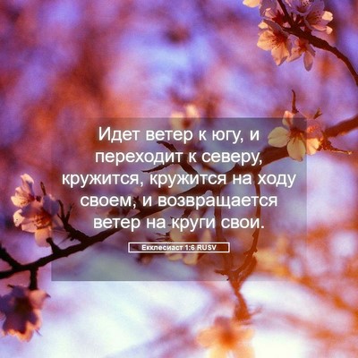 Picture 05 - Екклесиаст 1:6 RUSV - Идет ветер к югу, и - Bible Verse Picture