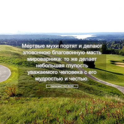 Picture 05 - Екклесиаст 10:1 RUSV - Мертвые мухи портят и - Bible Verse Picture
