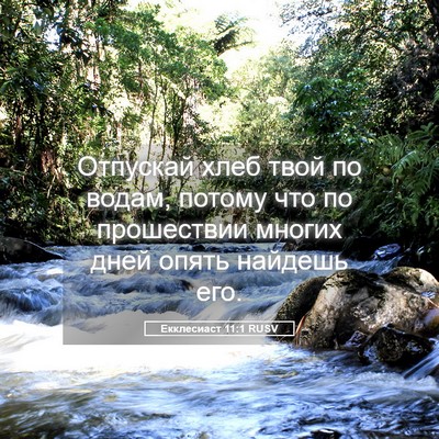 Picture 05 - Екклесиаст 11:1 RUSV - Отпускай хлеб твой по - Bible Verse Picture