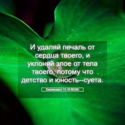 Picture 05 - Екклесиаст 11:10 RUSV - И удаляй печаль от сердца - Bible Verse Picture