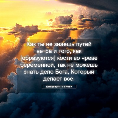 Picture 05 - Екклесиаст 11:5 RUSV - Как ты не знаешь путей - Bible Verse Picture