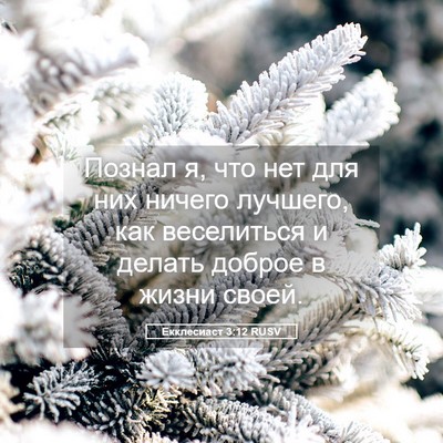 Picture 05 - Екклесиаст 3:12 RUSV - Познал я, что нет для них - Bible Verse Picture