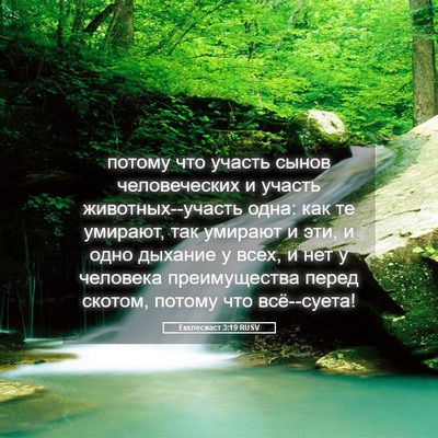 Picture 05 - Екклесиаст 3:19 RUSV - потому что участь сынов - Bible Verse Picture