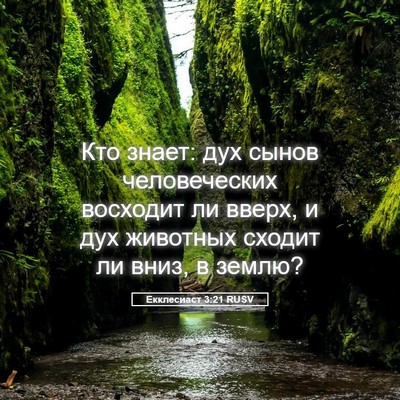 Picture 05 - Екклесиаст 3:21 RUSV - Кто знает: дух сынов - Bible Verse Picture