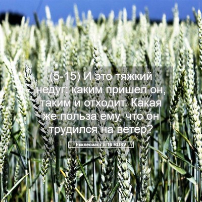 Picture 05 - Екклесиаст 5:16 RUSV - (5-15) И это тяжкий недуг: - Bible Verse Picture