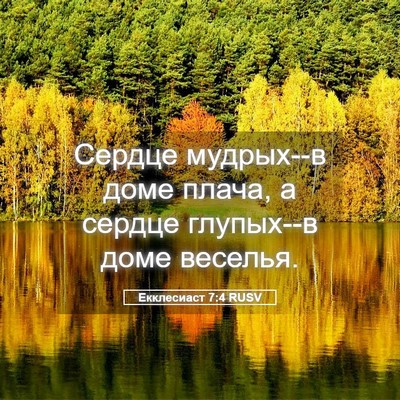 Picture 05 - Екклесиаст 7:4 RUSV - Сердце мудрых--в доме - Bible Verse Picture
