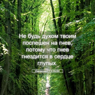 Picture 05 - Екклесиаст 7:9 RUSV - Не будь духом твоим - Bible Verse Picture