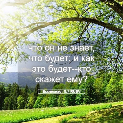 Picture 05 - Екклесиаст 8:7 RUSV - что он не знает, что будет; - Bible Verse Picture