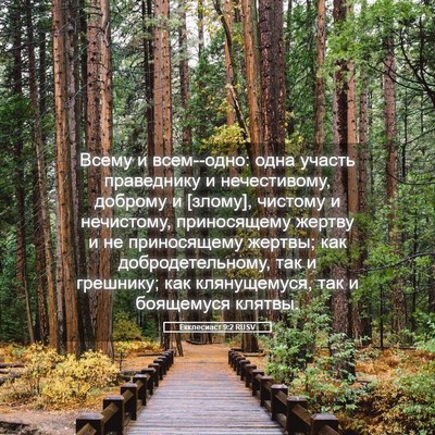Picture 05 - Екклесиаст 9:2 RUSV - Всему и всем--одно: одна - Bible Verse Picture