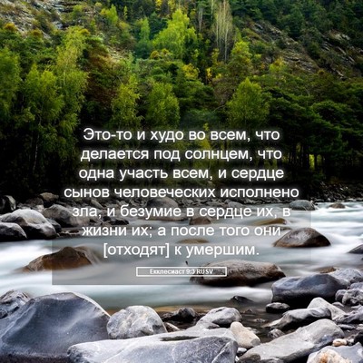 Picture 05 - Екклесиаст 9:3 RUSV - Это-то и худо во всем, что - Bible Verse Picture
