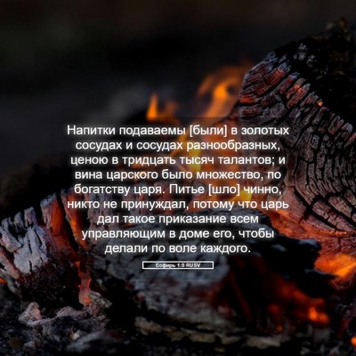 Picture 05 - Есфирь 1:8 RUSV - Напитки подаваемы [были] в - Bible Verse Picture
