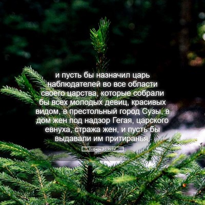 Picture 05 - Есфирь 2:3 RUSV - и пусть бы назначил царь - Bible Verse Picture