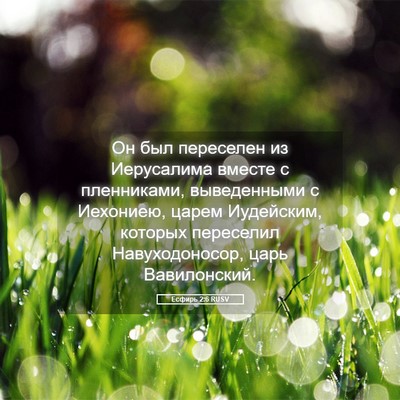 Picture 05 - Есфирь 2:6 RUSV - Он был переселен из - Bible Verse Picture