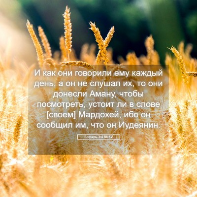 Picture 05 - Есфирь 3:4 RUSV - И как они говорили ему - Bible Verse Picture
