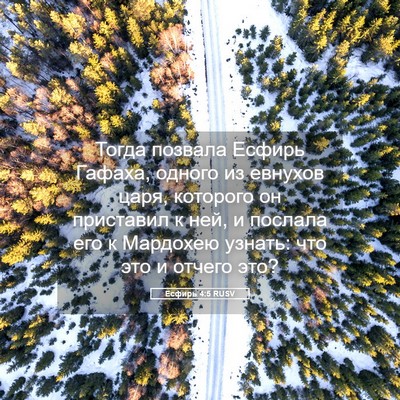 Picture 05 - Есфирь 4:5 RUSV - Тогда позвала Есфирь - Bible Verse Picture