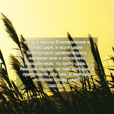 Picture 05 - Есфирь 5:8 RUSV - если я нашла благоволение - Bible Verse Picture