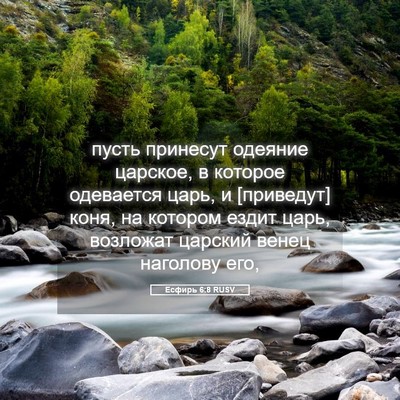 Picture 05 - Есфирь 6:8 RUSV - пусть принесут одеяние - Bible Verse Picture