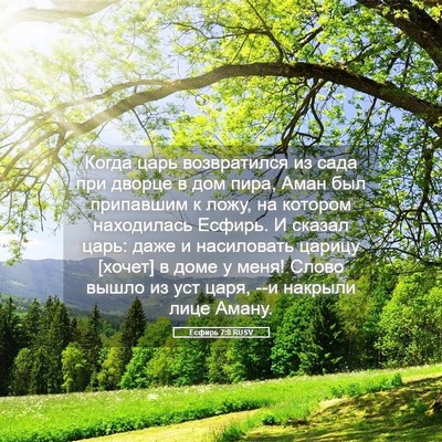 Picture 05 - Есфирь 7:8 RUSV - Когда царь возвратился из - Bible Verse Picture