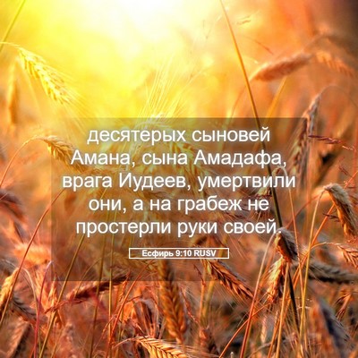 Picture 05 - Есфирь 9:10 RUSV - десятерых сыновей Амана, - Bible Verse Picture