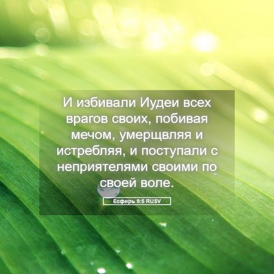 Picture 05 - Есфирь 9:5 RUSV - И избивали Иудеи всех - Bible Verse Picture