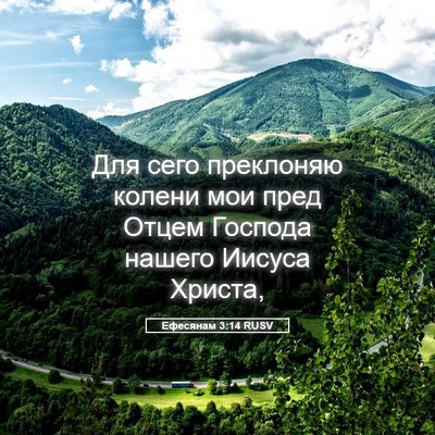 Picture 05 - Ефесянам 3:14 RUSV - Для сего преклоняю колени - Bible Verse Picture