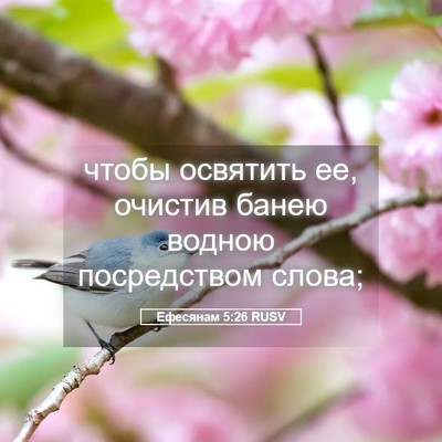 Picture 05 - Ефесянам 5:26 RUSV - чтобы освятить ее, очистив - Bible Verse Picture