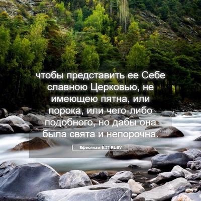 Picture 05 - Ефесянам 5:27 RUSV - чтобы представить ее Себе - Bible Verse Picture