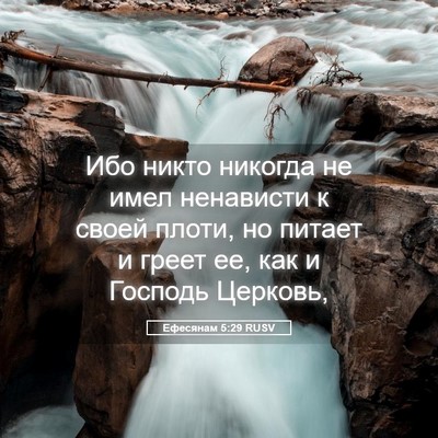 Picture 05 - Ефесянам 5:29 RUSV - Ибо никто никогда не имел - Bible Verse Picture