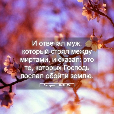 Picture 05 - Захария 1:10 RUSV - И отвечал муж, который - Bible Verse Picture